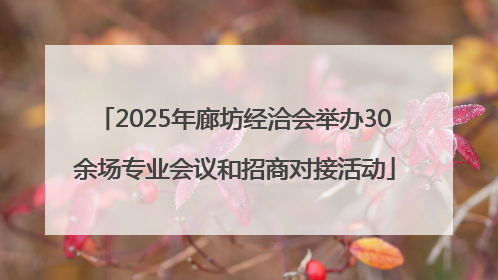 2025年廊坊经洽会举办30余场专业会议和招商对接活动